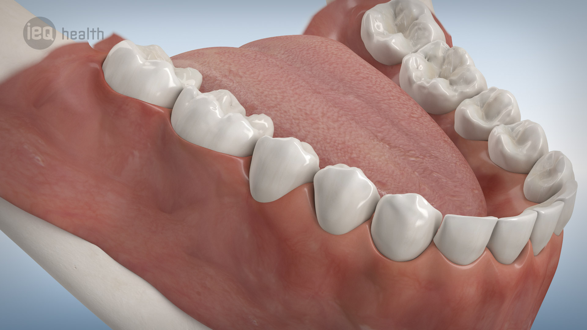 Knochenaufbau Rückbildung